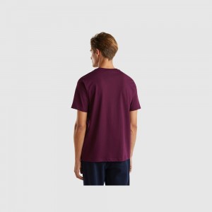 United Colors of Benetton 100% organic cotton basic T-shirts Herren Lila | GRWFNU307